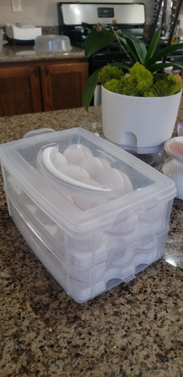 2-Layer,24 Eggs Plastic Detachable Deviled Egg Carrier Storage Container w/ Lid & Handle